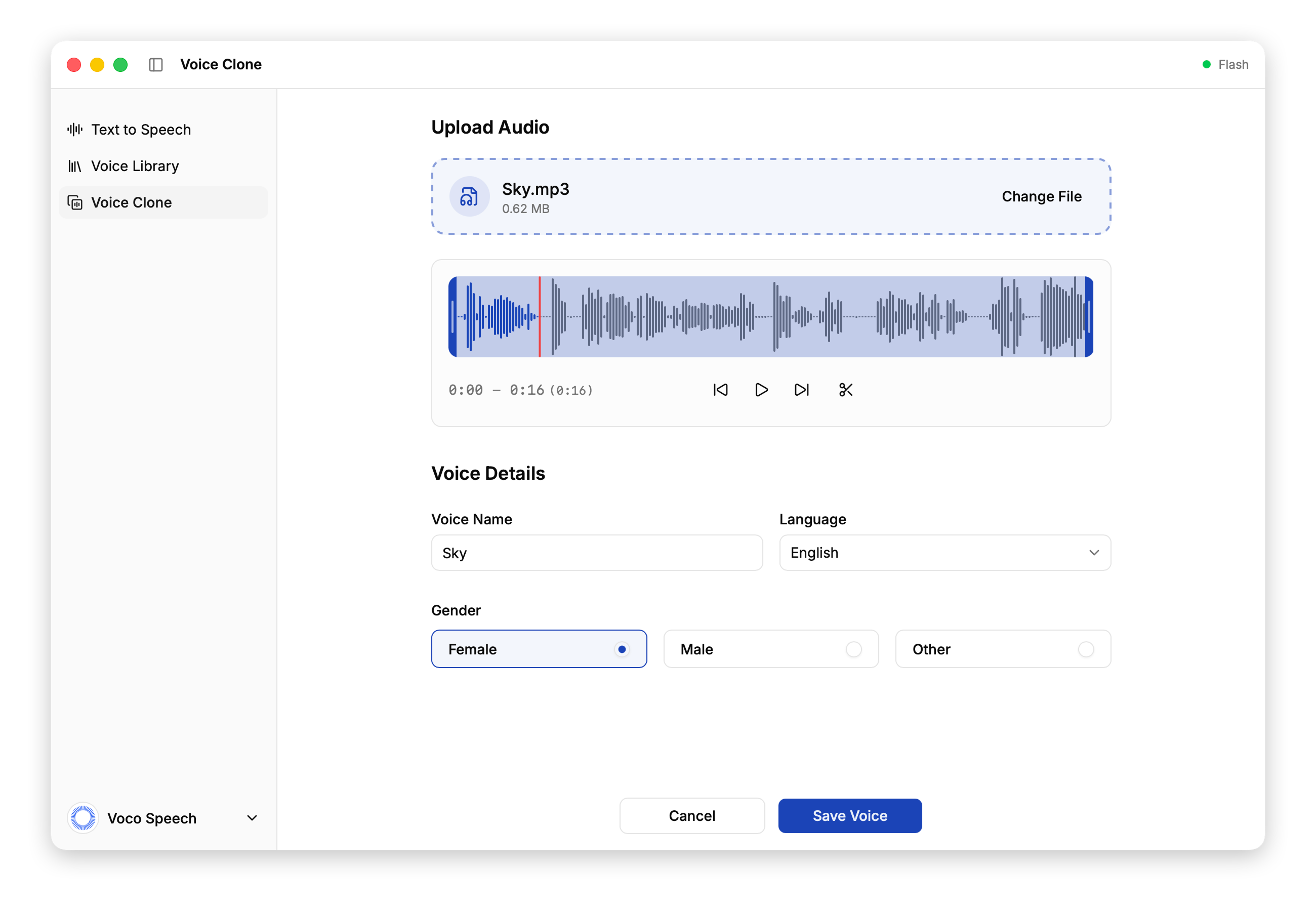 Voice Cloning Feature Light
